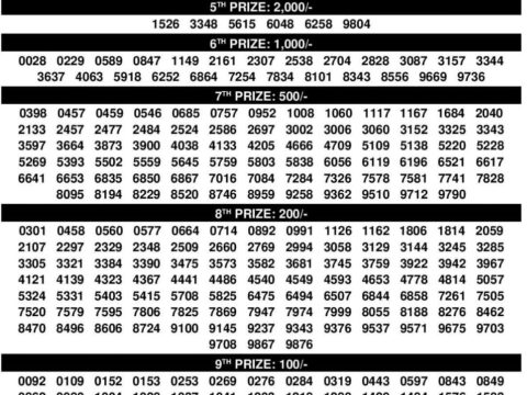 Kerala Lottery Result 1 December 2025: Bhagyathara BT-31 Live Draw and Winners