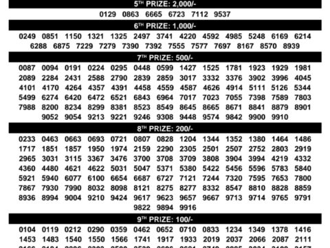 Kerala Lottery Result Bhagyathara BT 33 15 December 2025