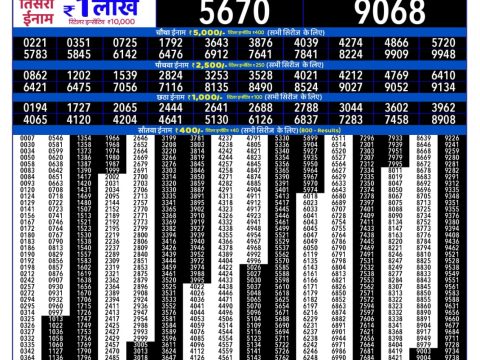 Rajshree 300 Monthly Lottery Result 17 February 2026